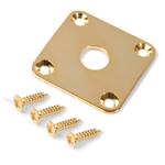 Gold Jackplate for Les Paul