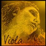 Evah Pirazzi Gold Viola C String