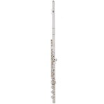 Eastman EFL320BO Flute Used