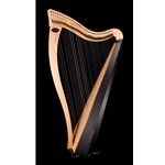 Used Dusty Strings Ravenna 34 Harp Package