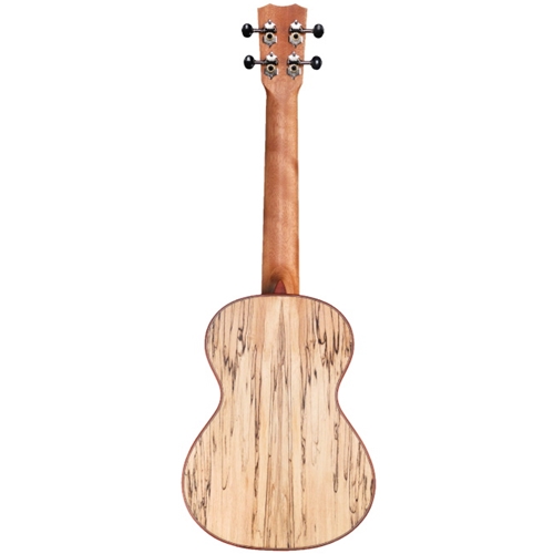 Cordoba 24T Tenor Ukulele | Tapestry Music