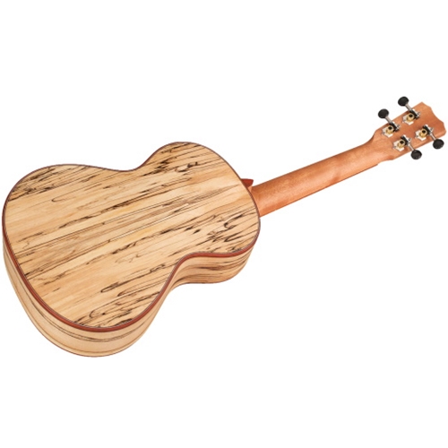 Cordoba 24T Tenor Ukulele | Tapestry Music