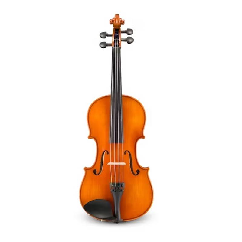 Eastman VL305 Violin Outfit | Tapestry Music