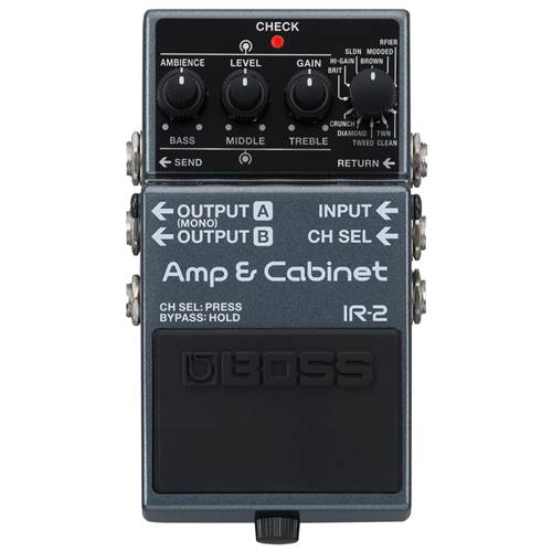 BOSS IR-2 Amp & Cabinet | Tapestry Music